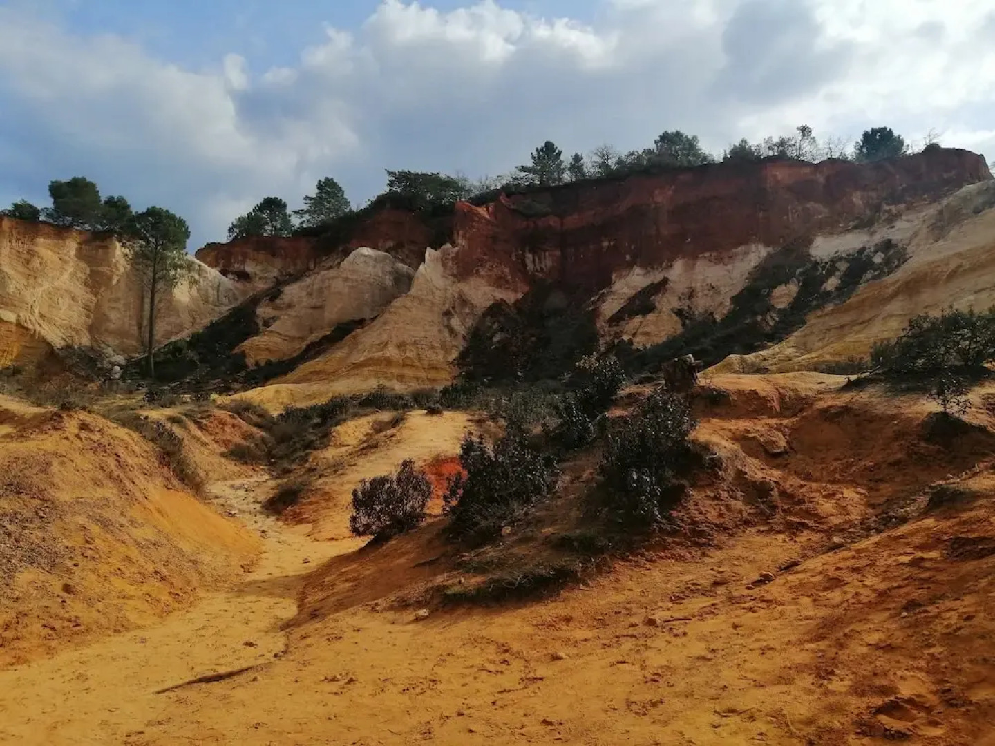 La Magnanerie - Côté Bistro