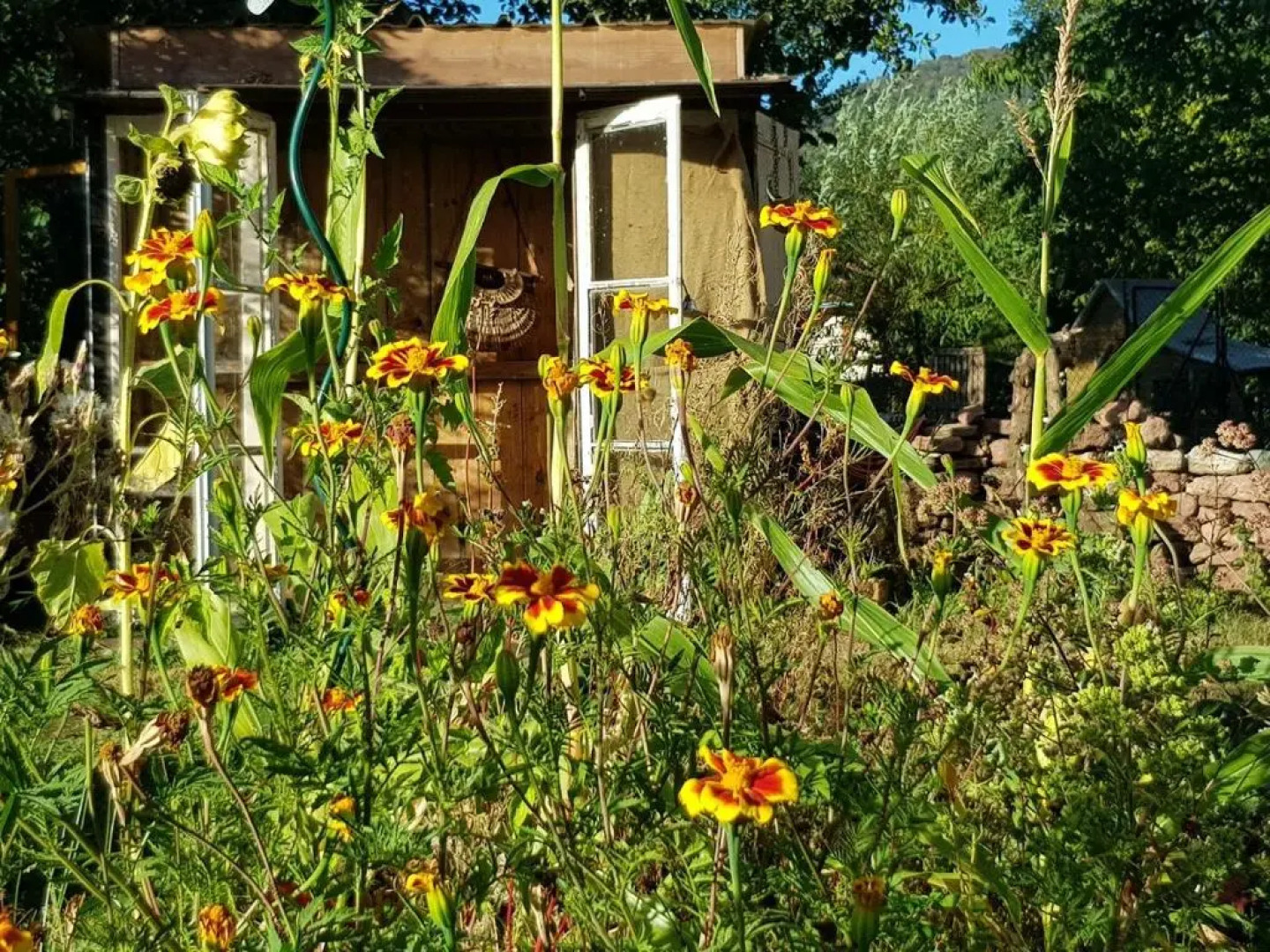 Le jardin des gouttes