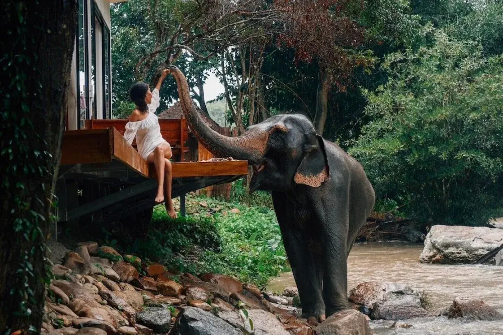 3Pok Resort Chiang Mai