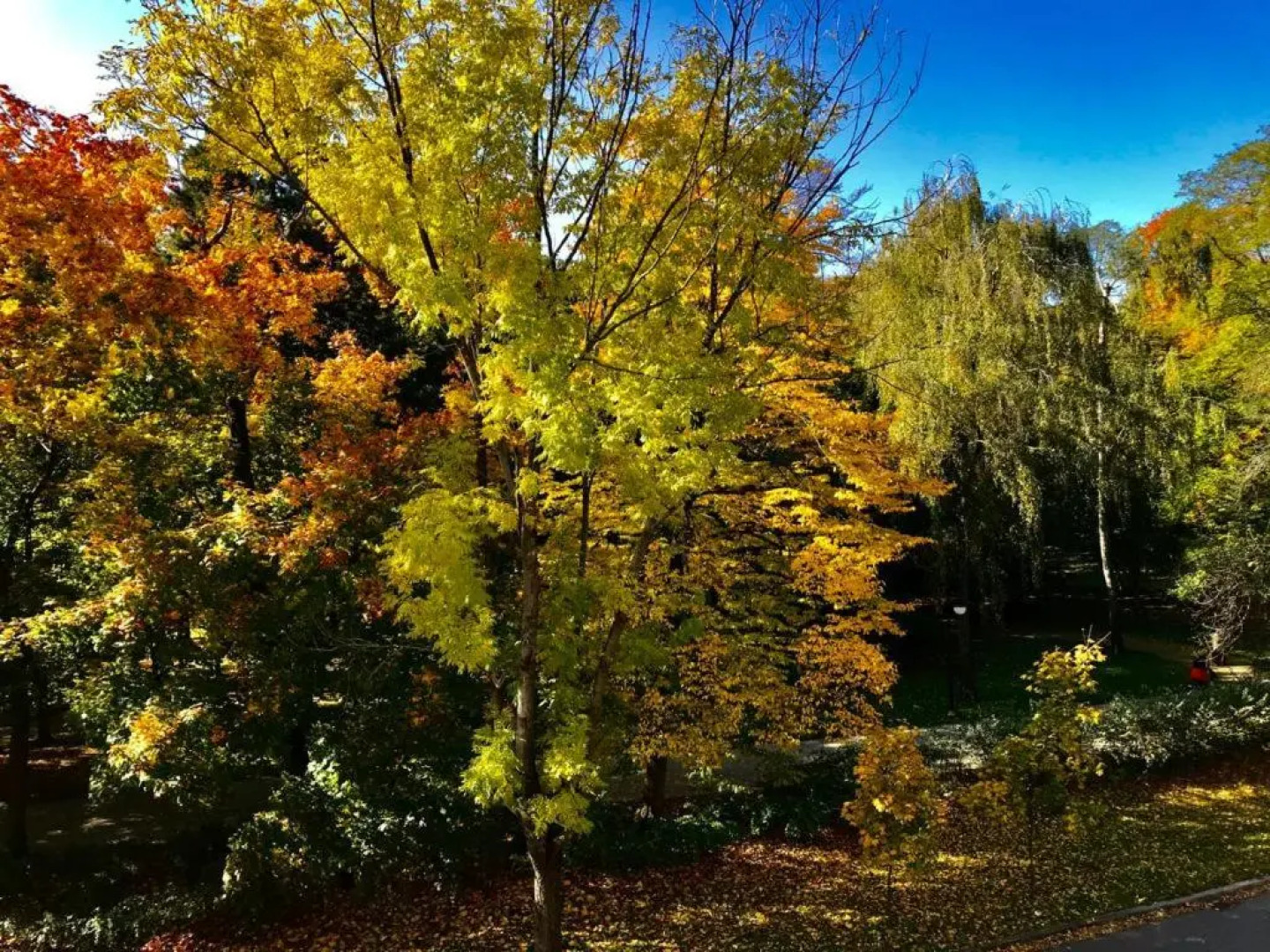 Europejski Boutique Hotel