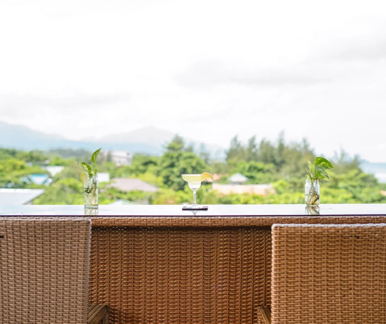 The Palms Resort & Bar