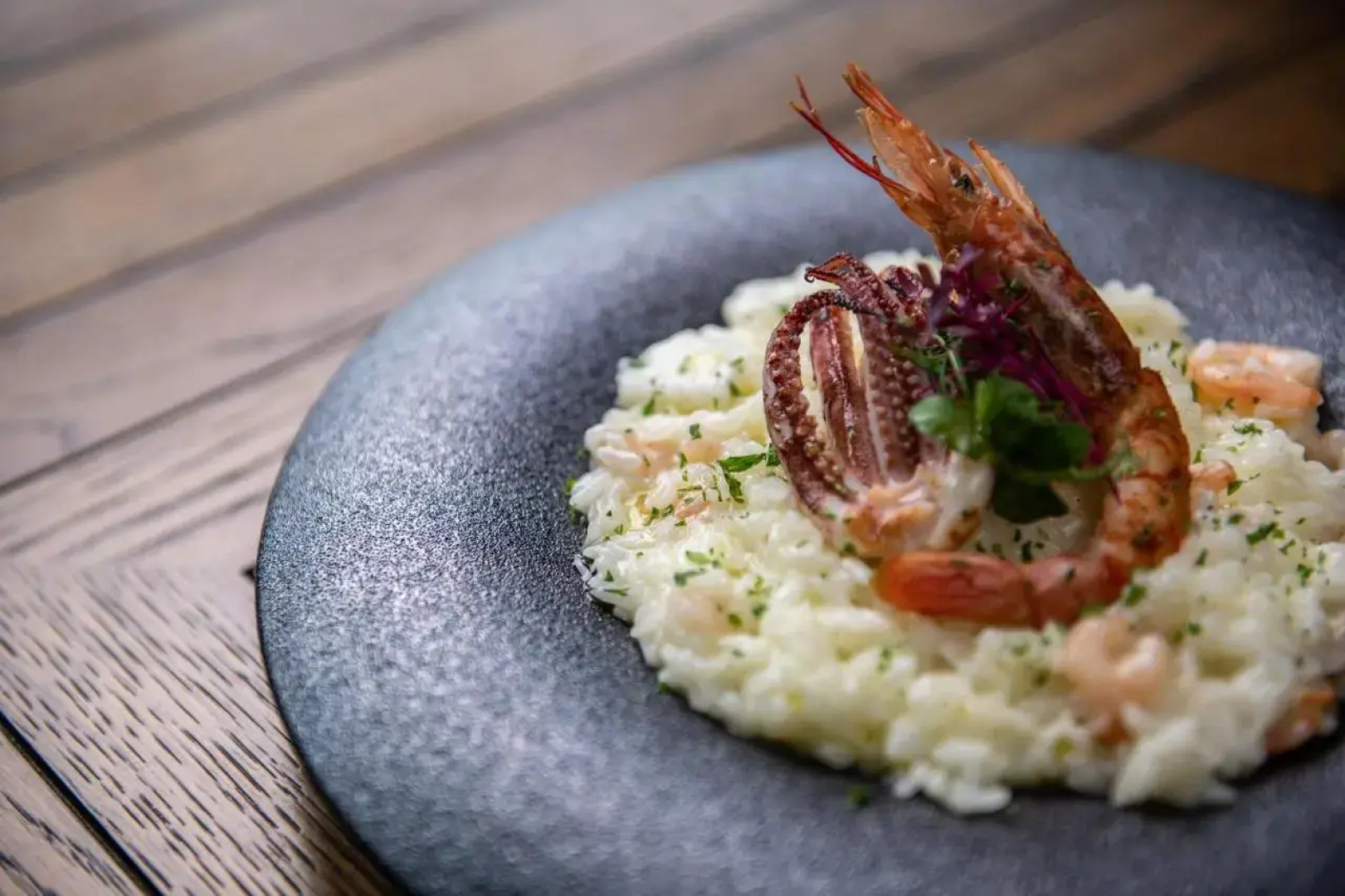 Yu Kiroro, Ski-in Ski-out Luxury Residences