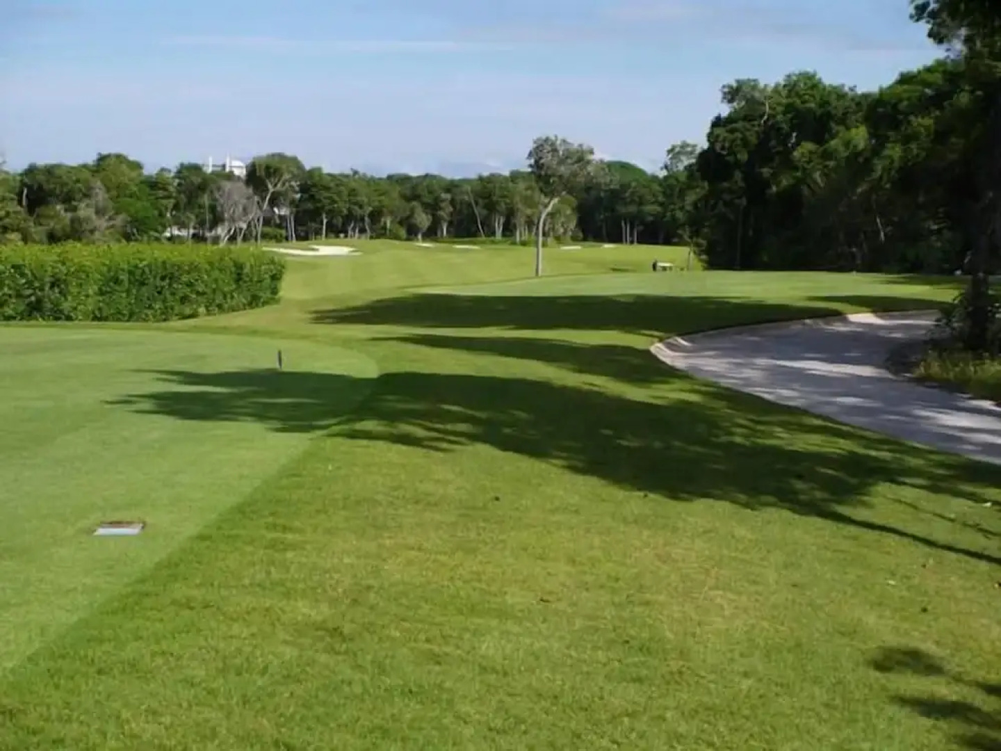 TAO Garden Luxury Condo