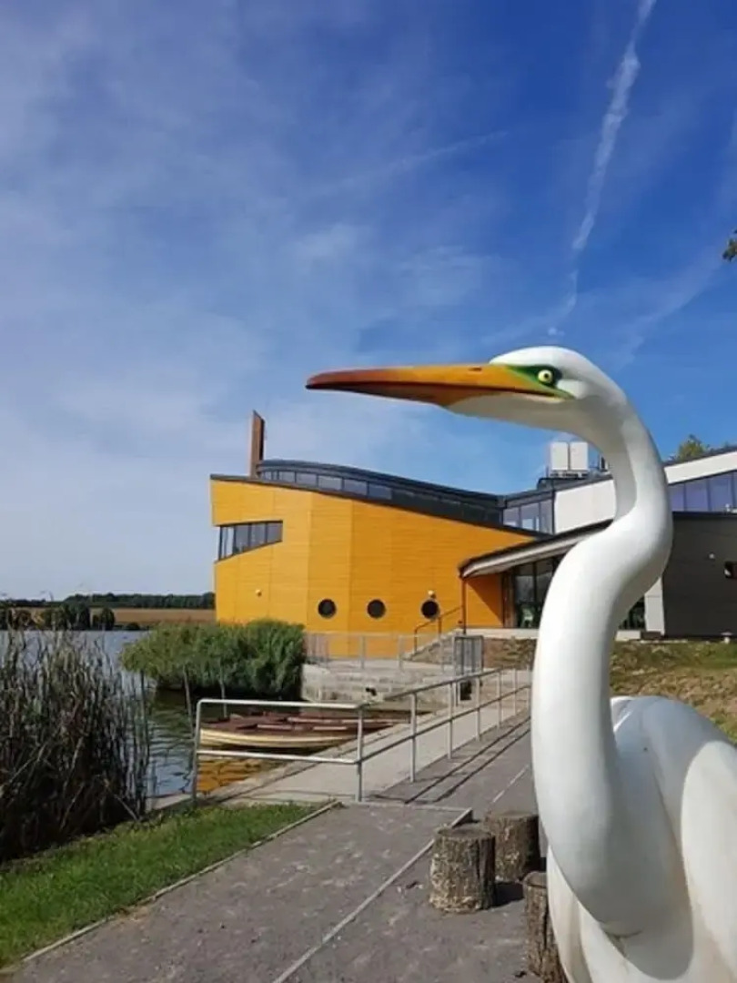 Z8 Prémium Apartman