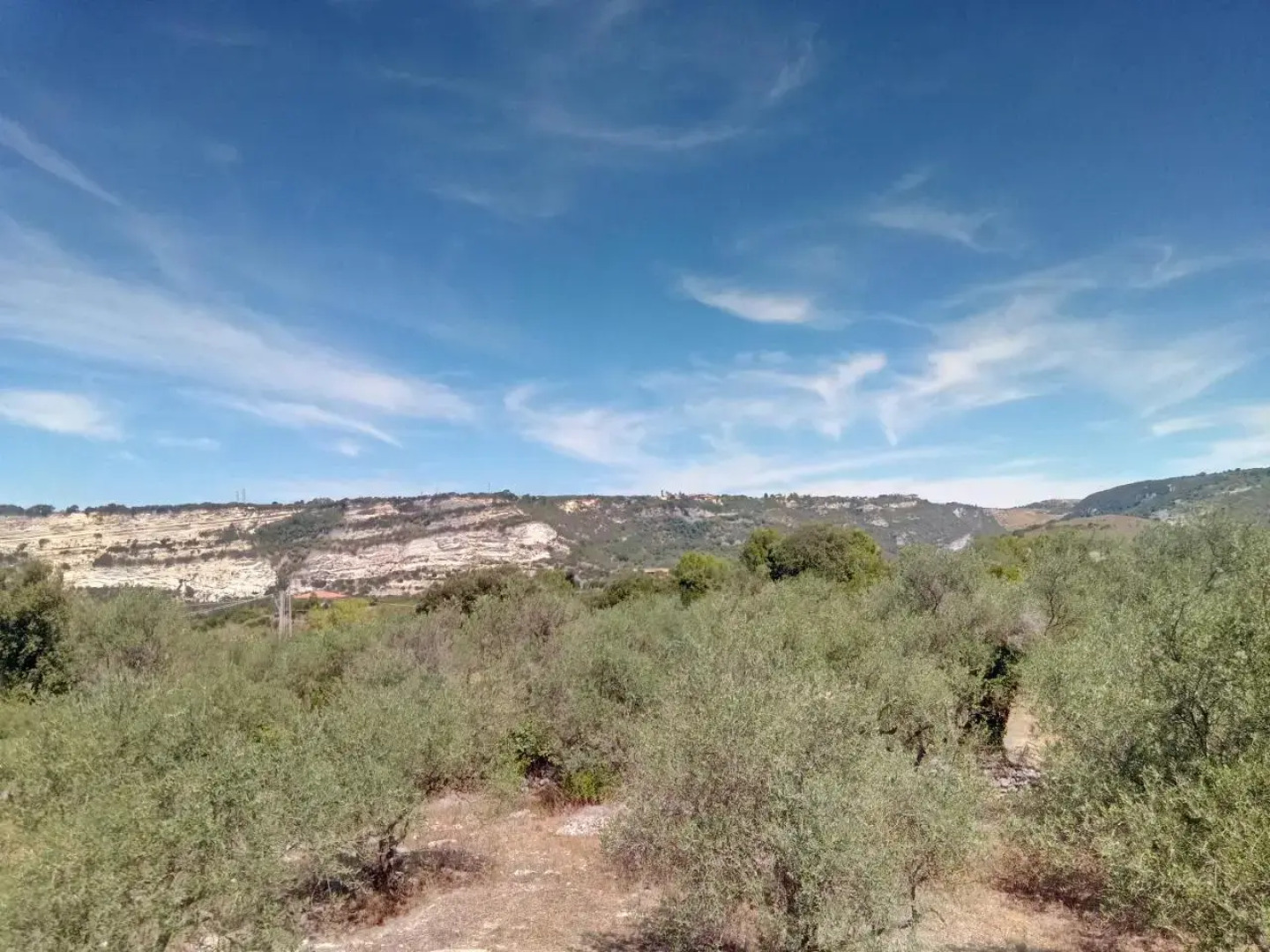 Residence degli ulivi