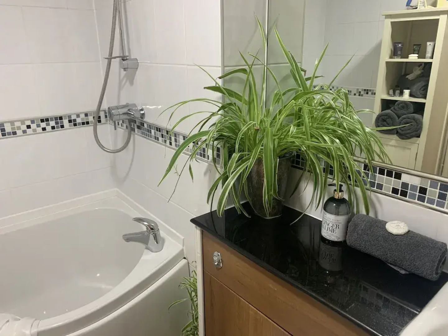 King Canute Apartment - Crown Lettings