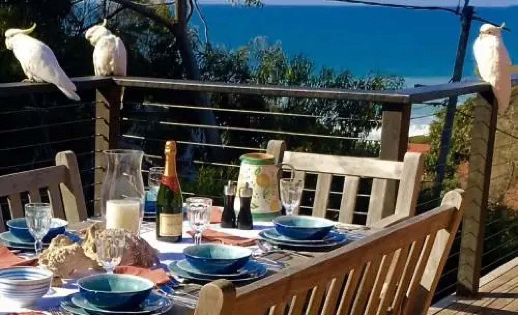 2 Degrees of Separation