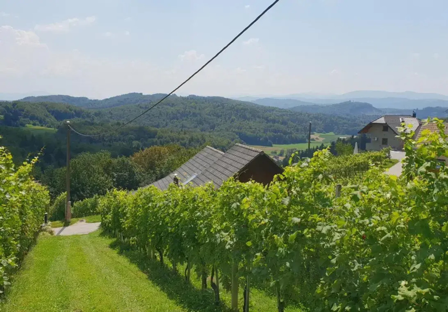 Zidanica Meglič - Vineyard cottage Meglič
