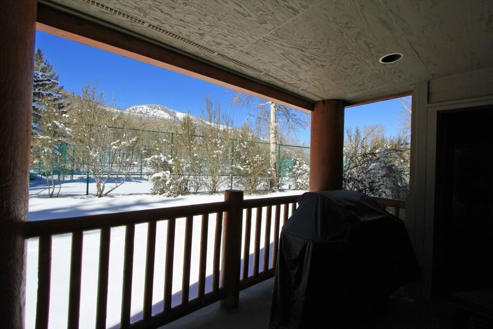 Park City Snow Flower