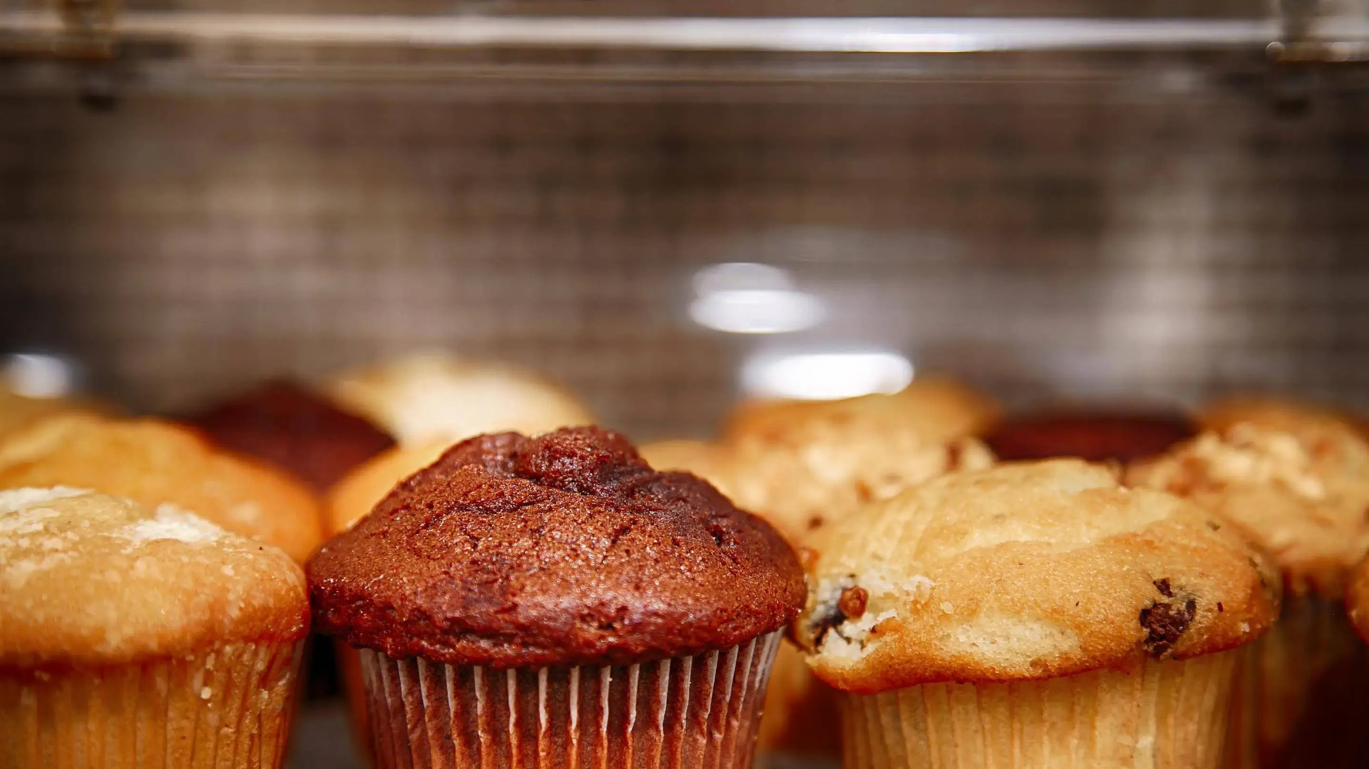 Best Western Oceanside Inn