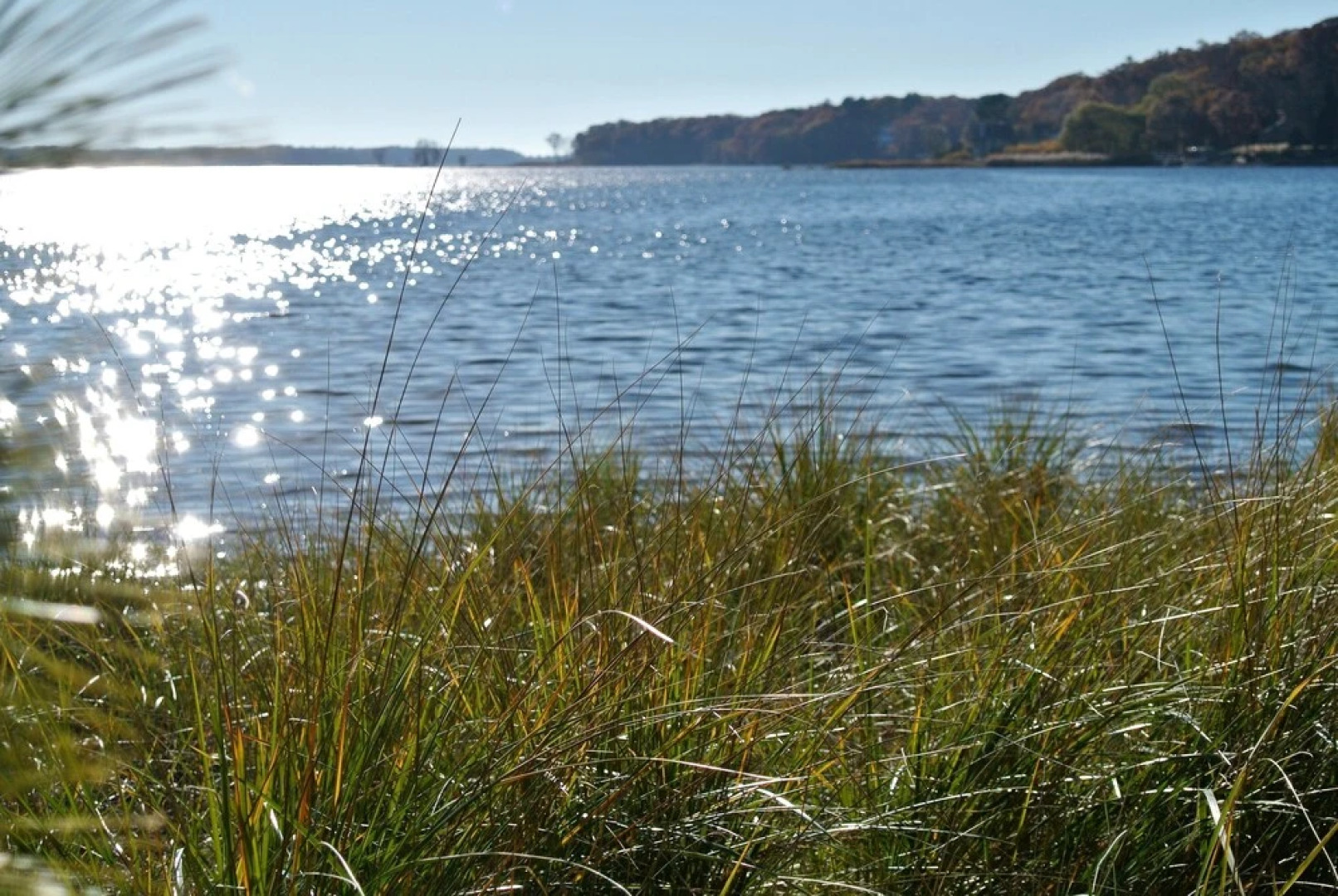 Amandas Bequest Bed and Breakfast