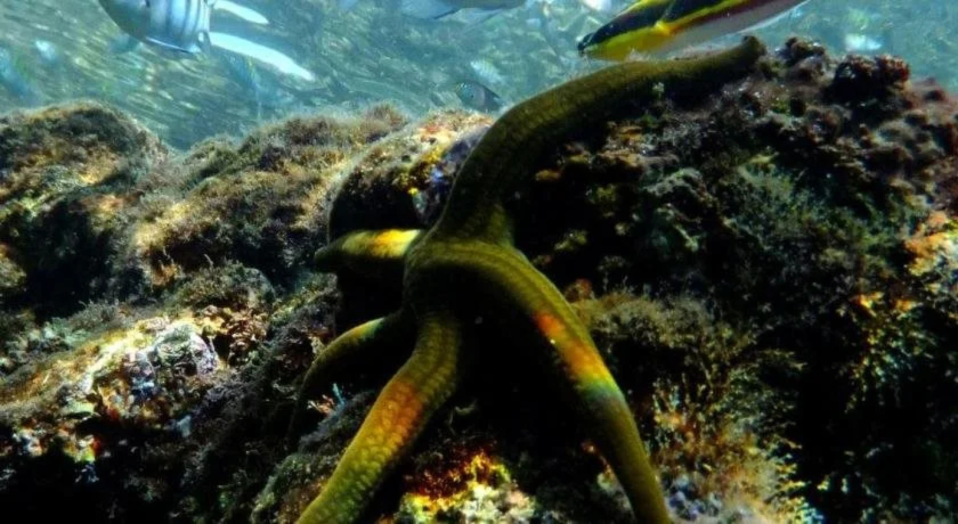 Hotel Plaza Loreto Centro Historico