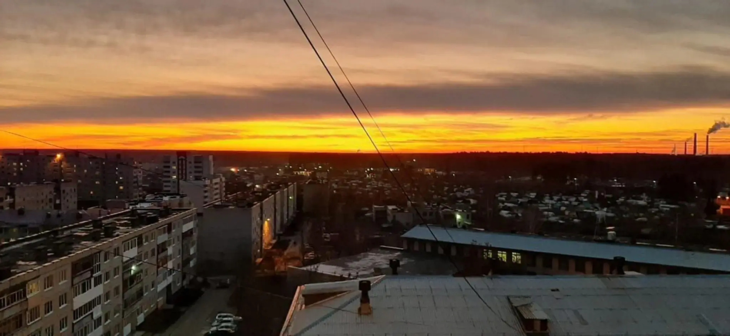 Желтый Нарцисс на улице Челюскинцев