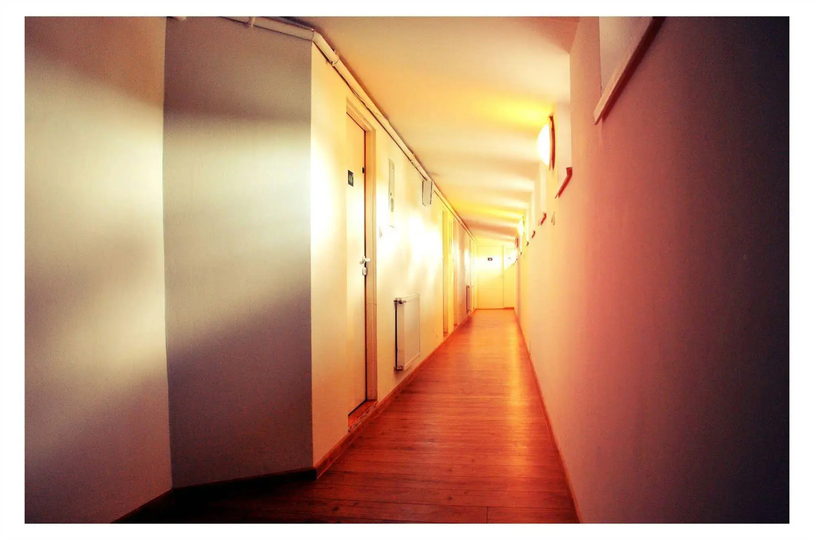 Good Bye Lenin Revolution