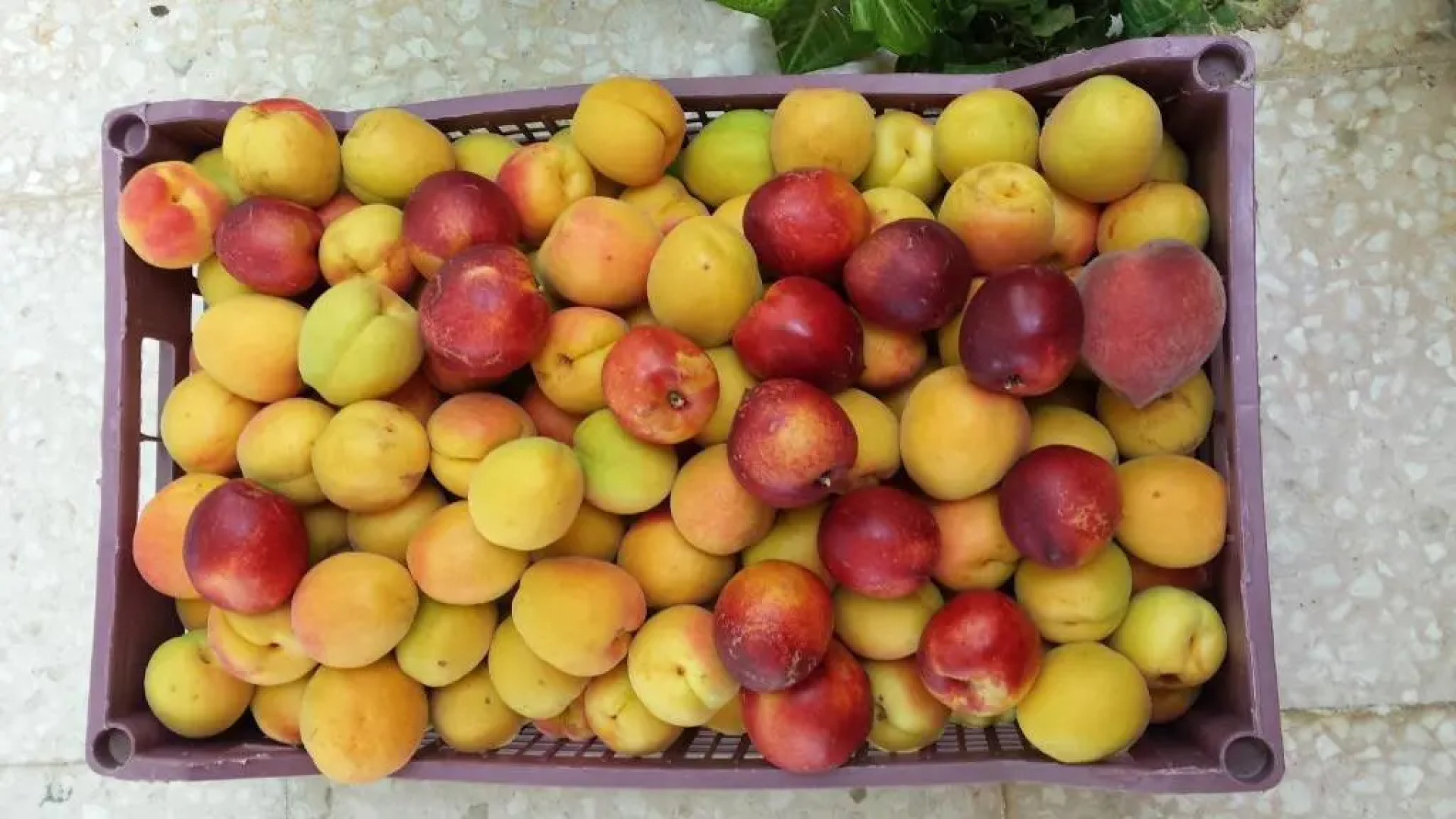 Pervolaris Cottages 1