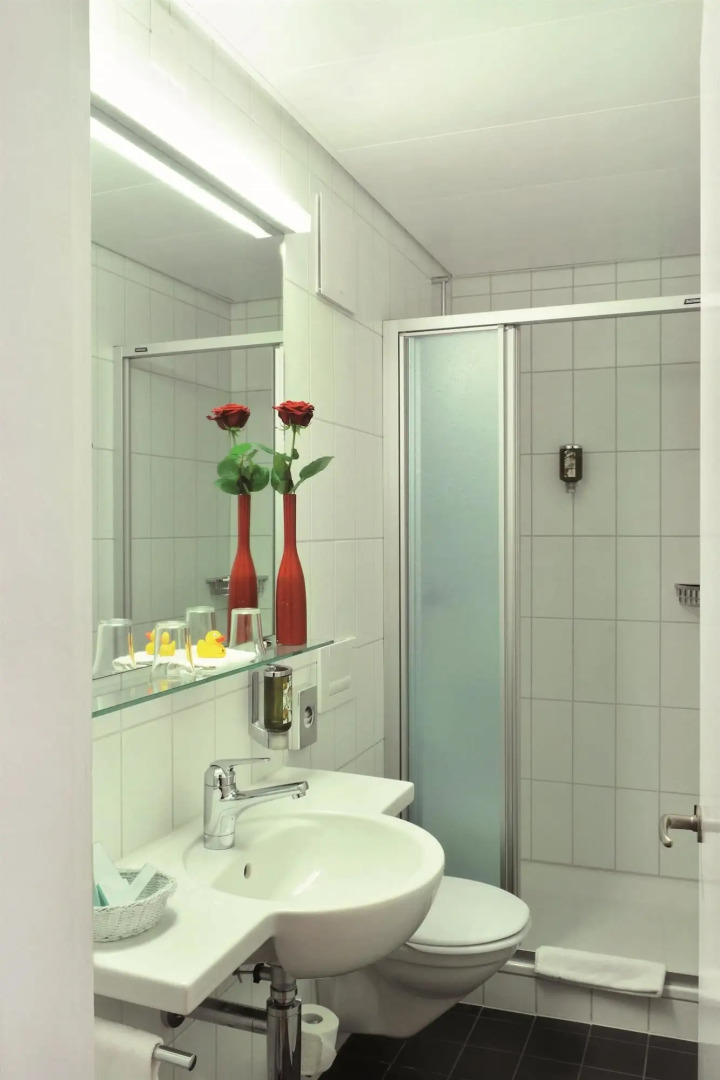 Sorell Hotel Arabelle Bern