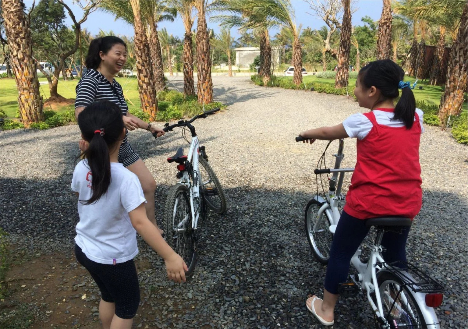 Bay Forest Boutique Hotel