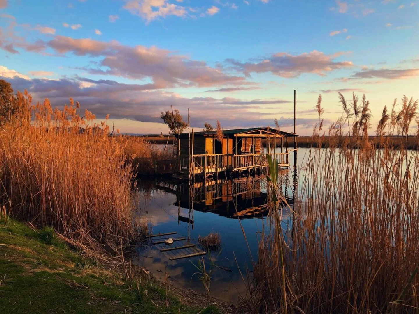 Apartment Via Tamburlana