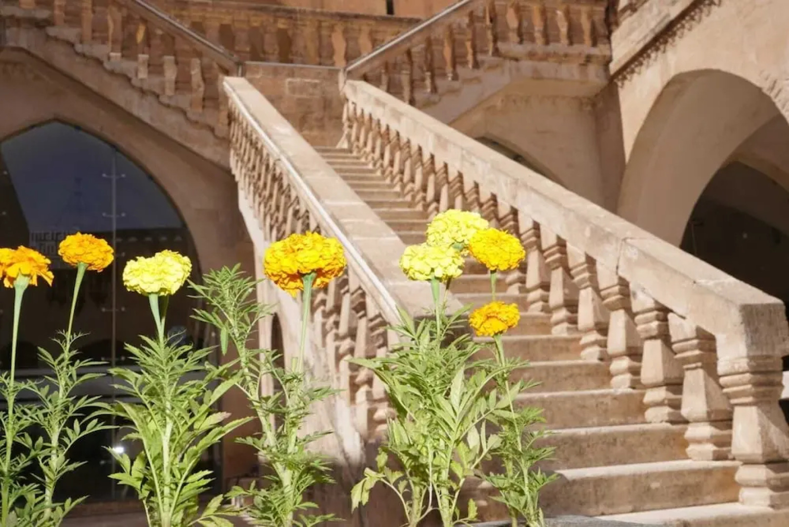 Artuklu Universitesi Sahtana Konagi