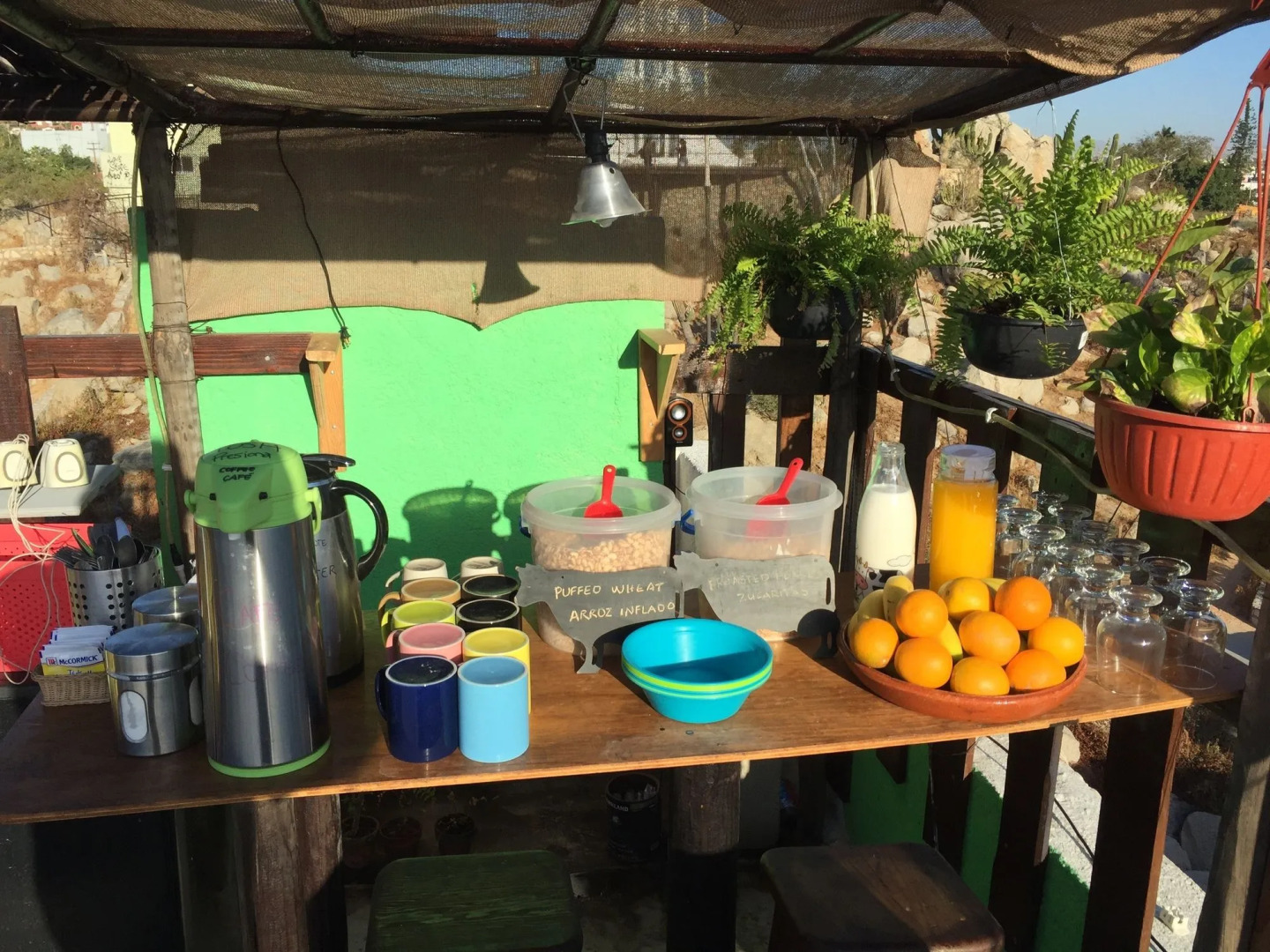 Baja's Cactus Hostel