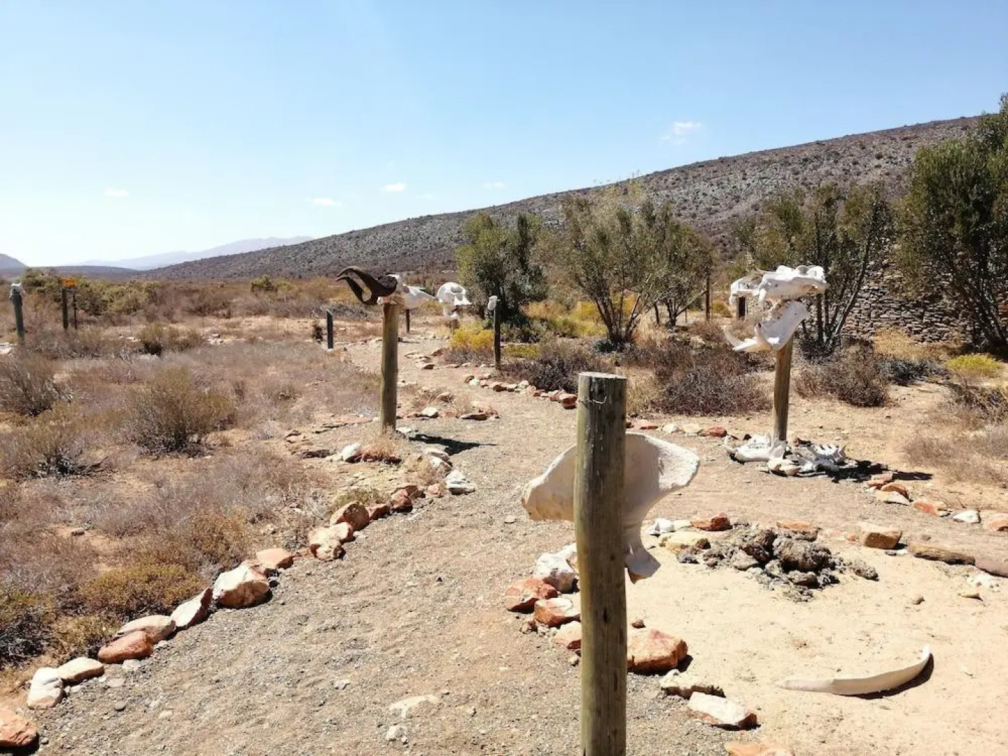 Gondwana Family Lodge