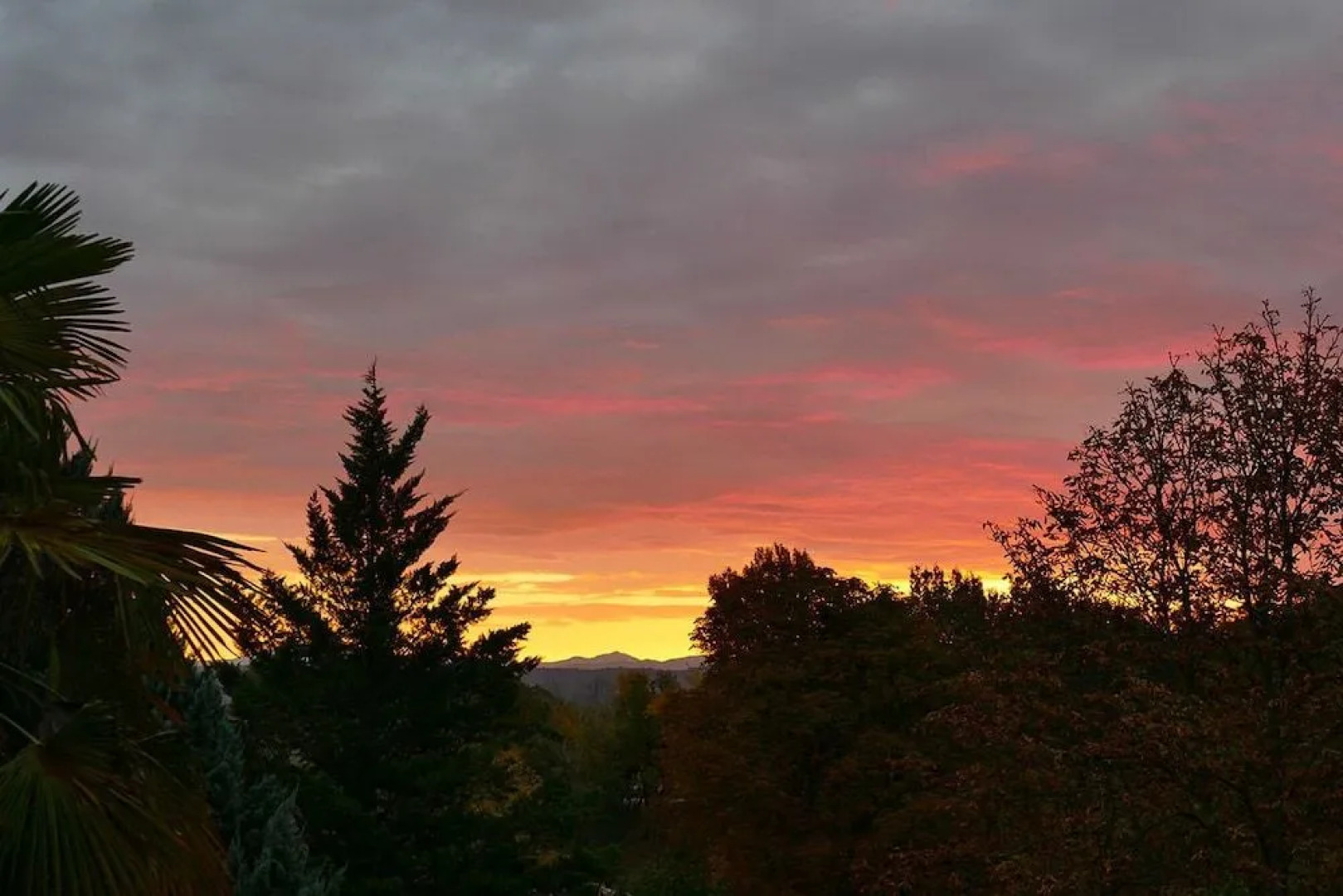 Chambres d'hotes A l'Ombre du Saule