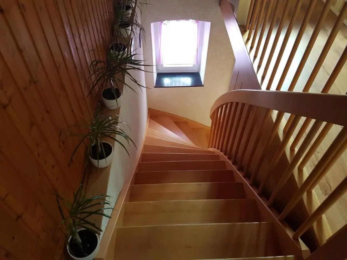 Ring-Speed Motorsport