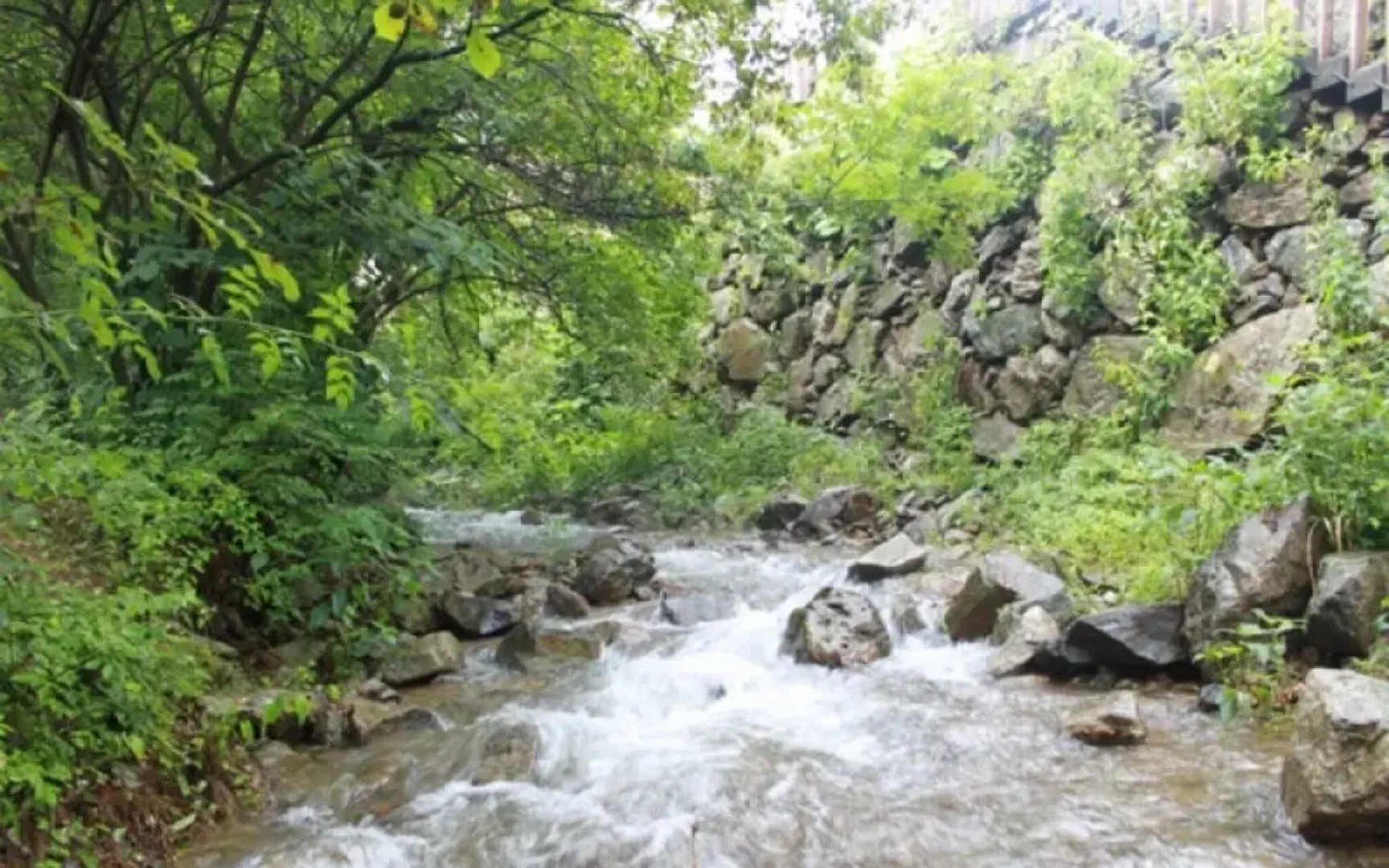 Yangpyeong Pension Forest