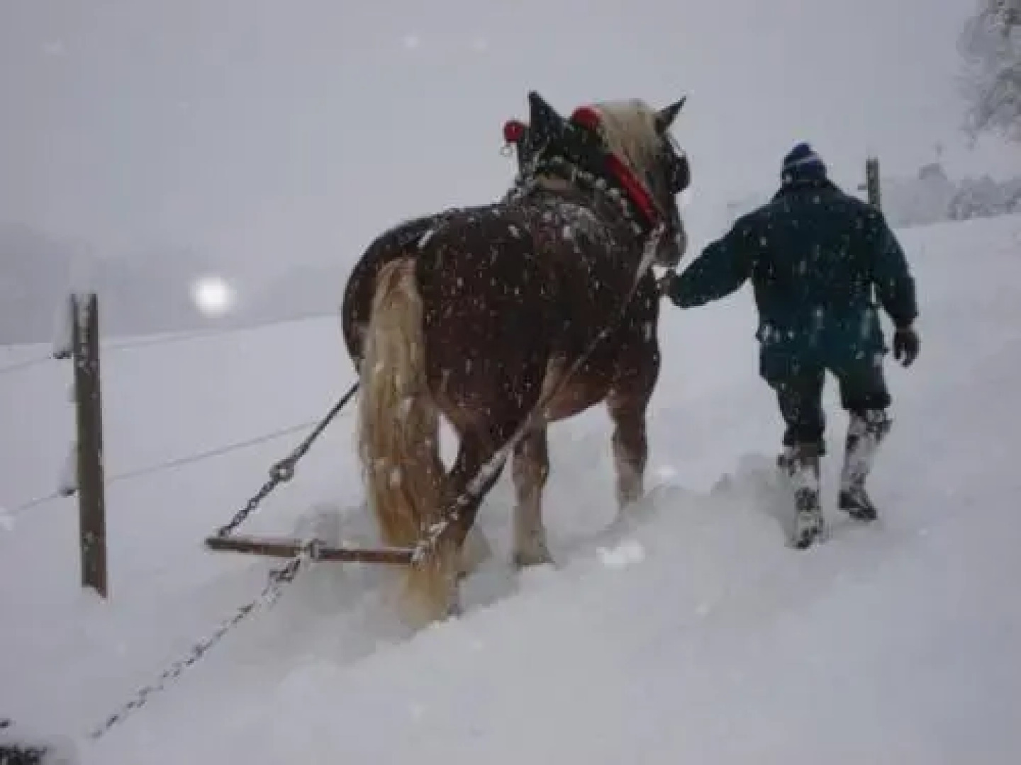 Roulotte des Greppes