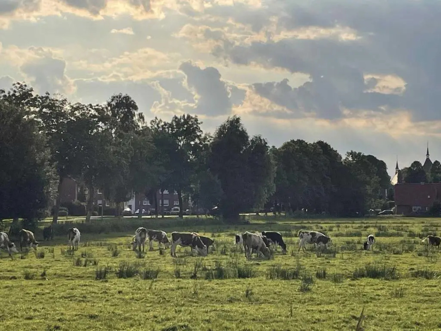 Ferienwohnung Kramer 25569