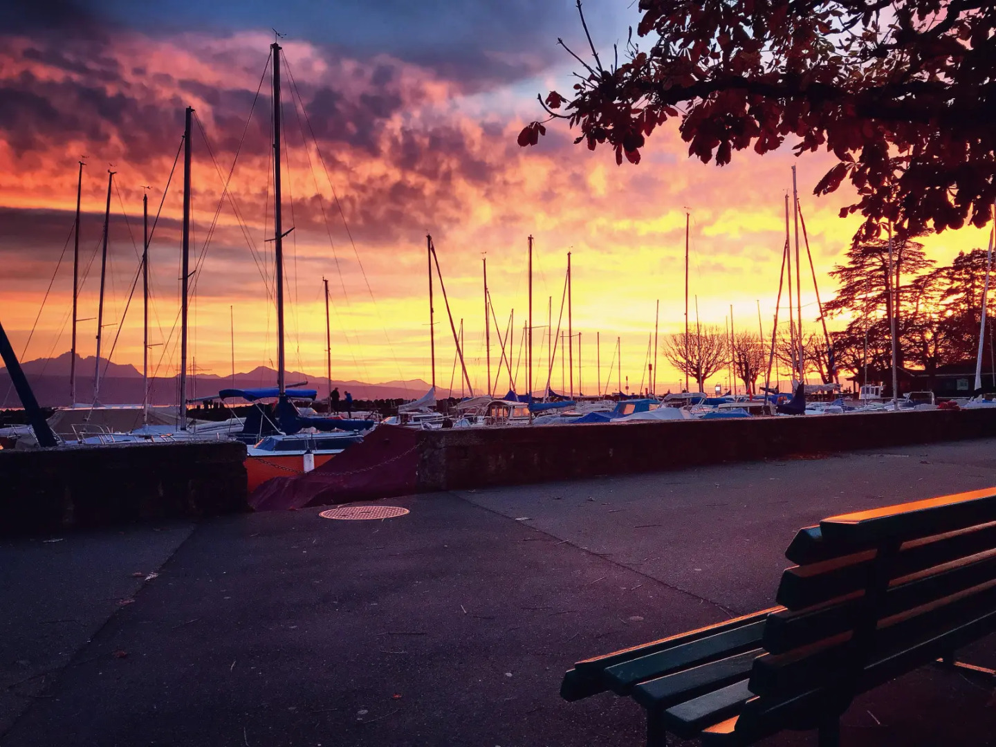 Rivage Hotel Restaurant Lutry