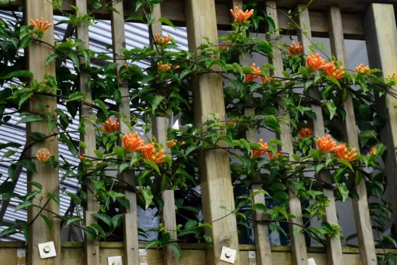 The Rise Bnb - Executive Ensuite