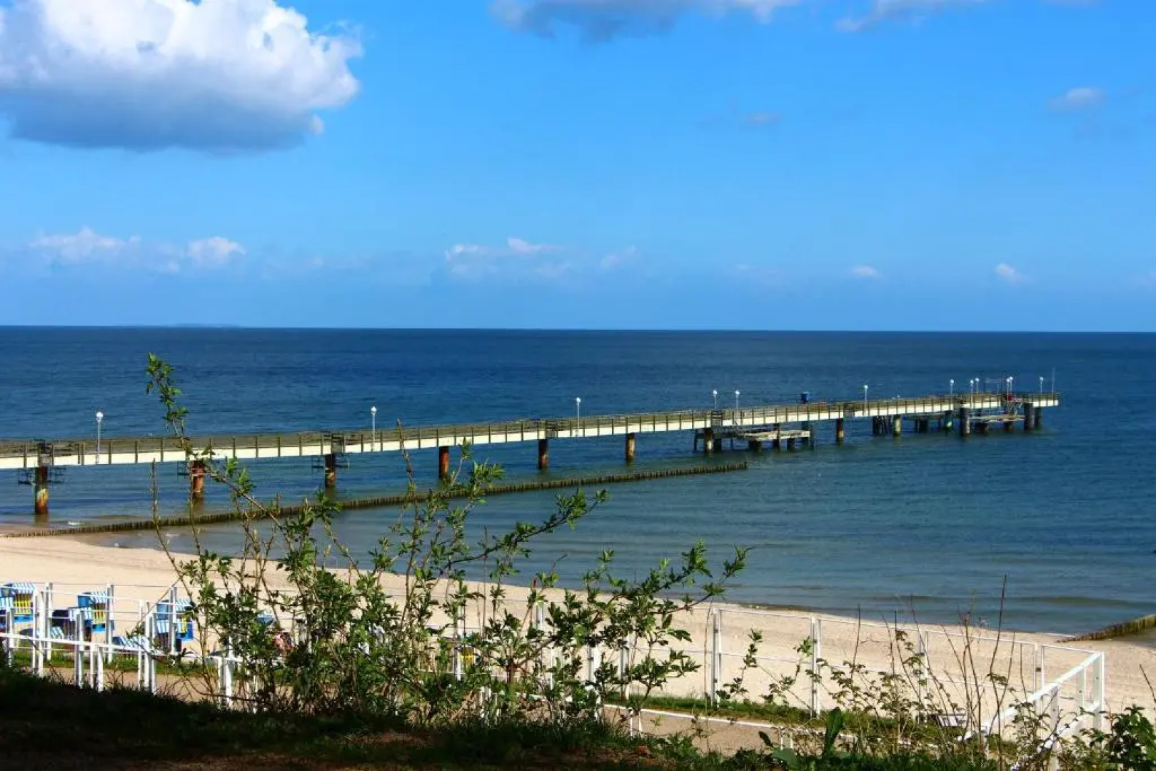 Strandläufer Zempin