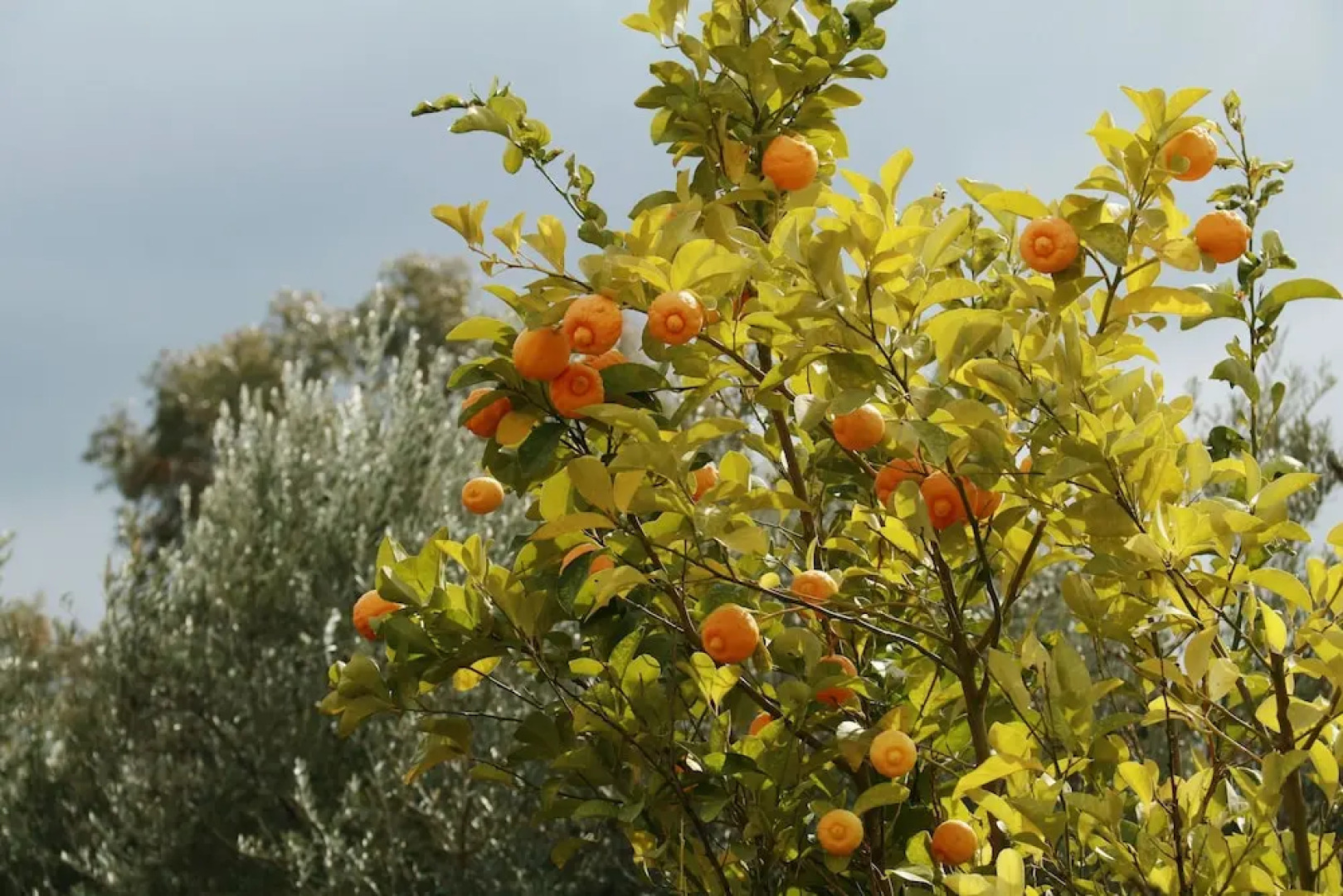 Domaine Malika - Adults Only