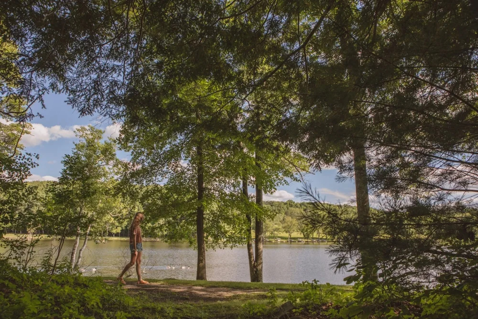 Mountain Springs Lake Resort