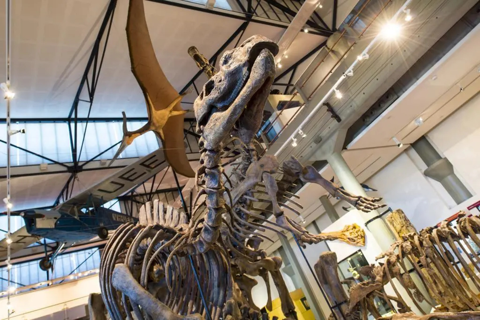 BIG4 Launceston Holiday Park