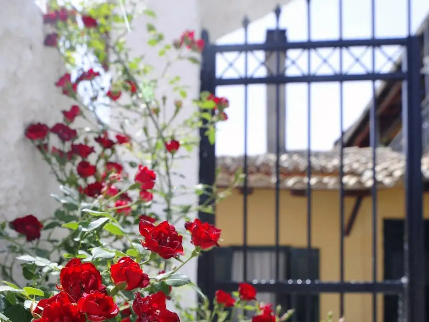 Traditional Cottage on the Hillside of Antiperni