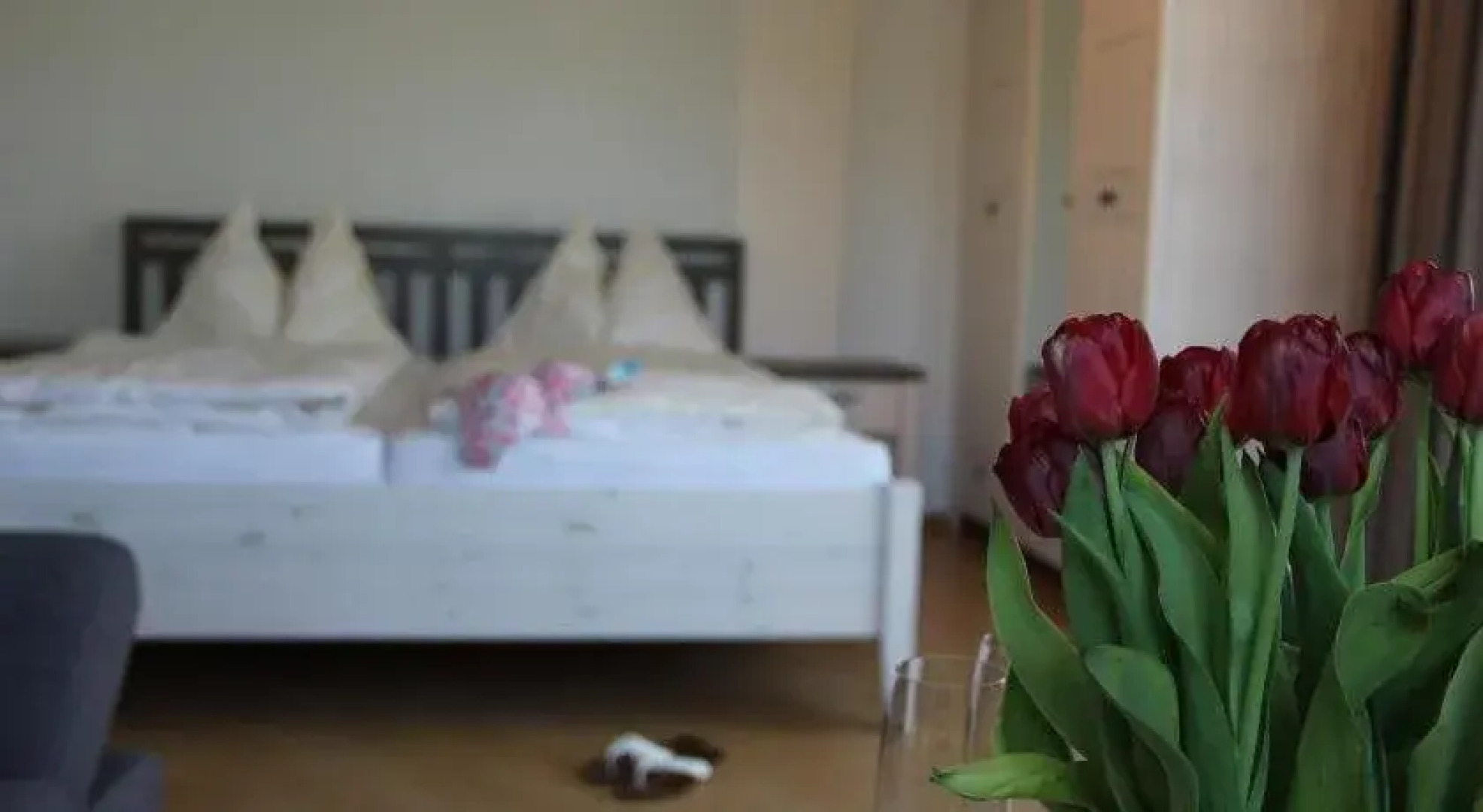 Wörthersee Appartements LEX