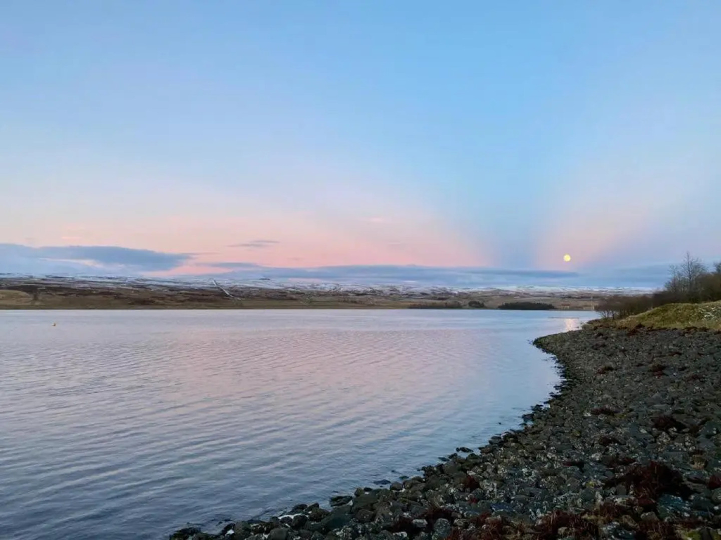 Apple tree hut, in a private garden