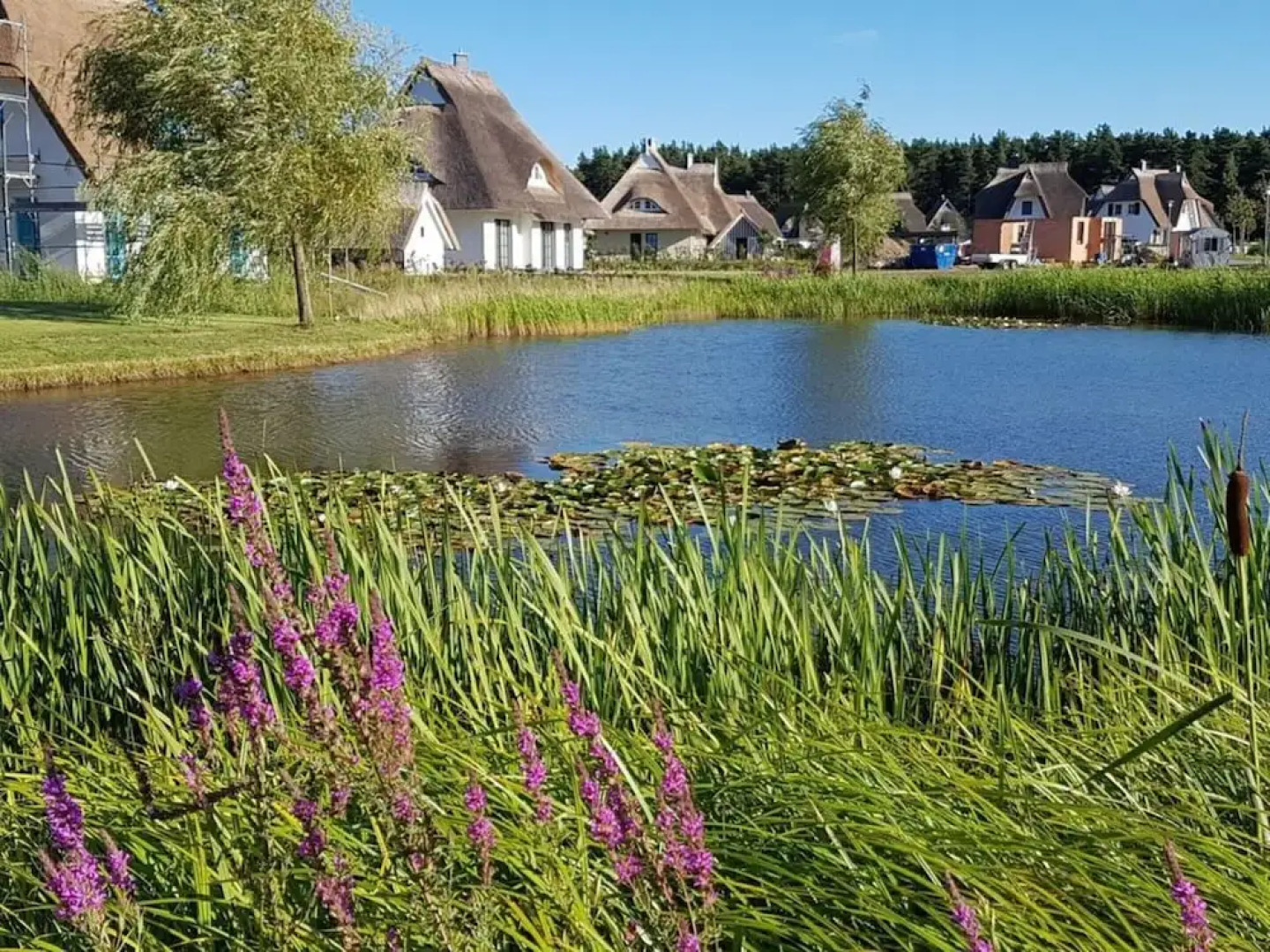 Seeschwalbe Modern Retreat