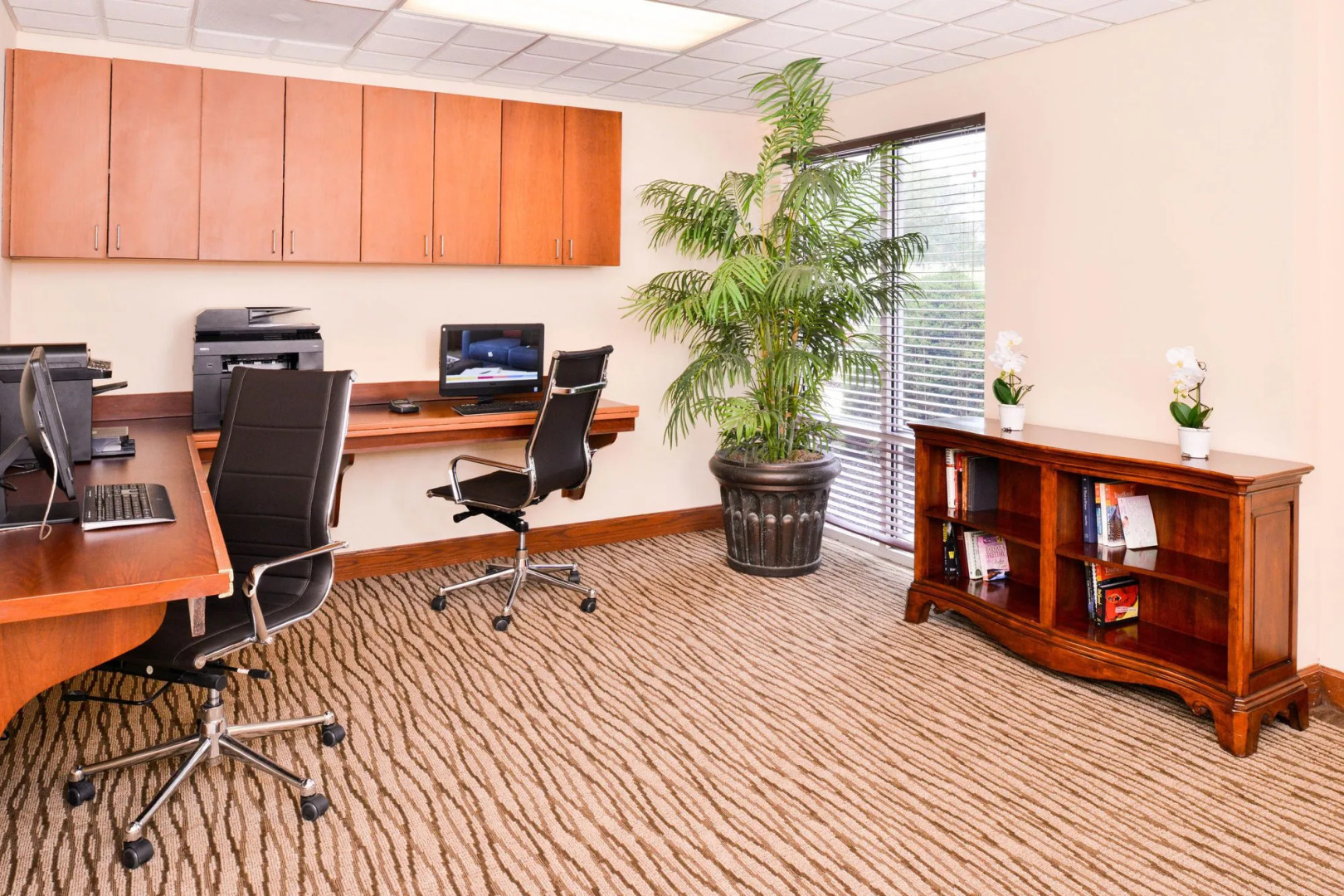 Comfort Suites Mount Vernon