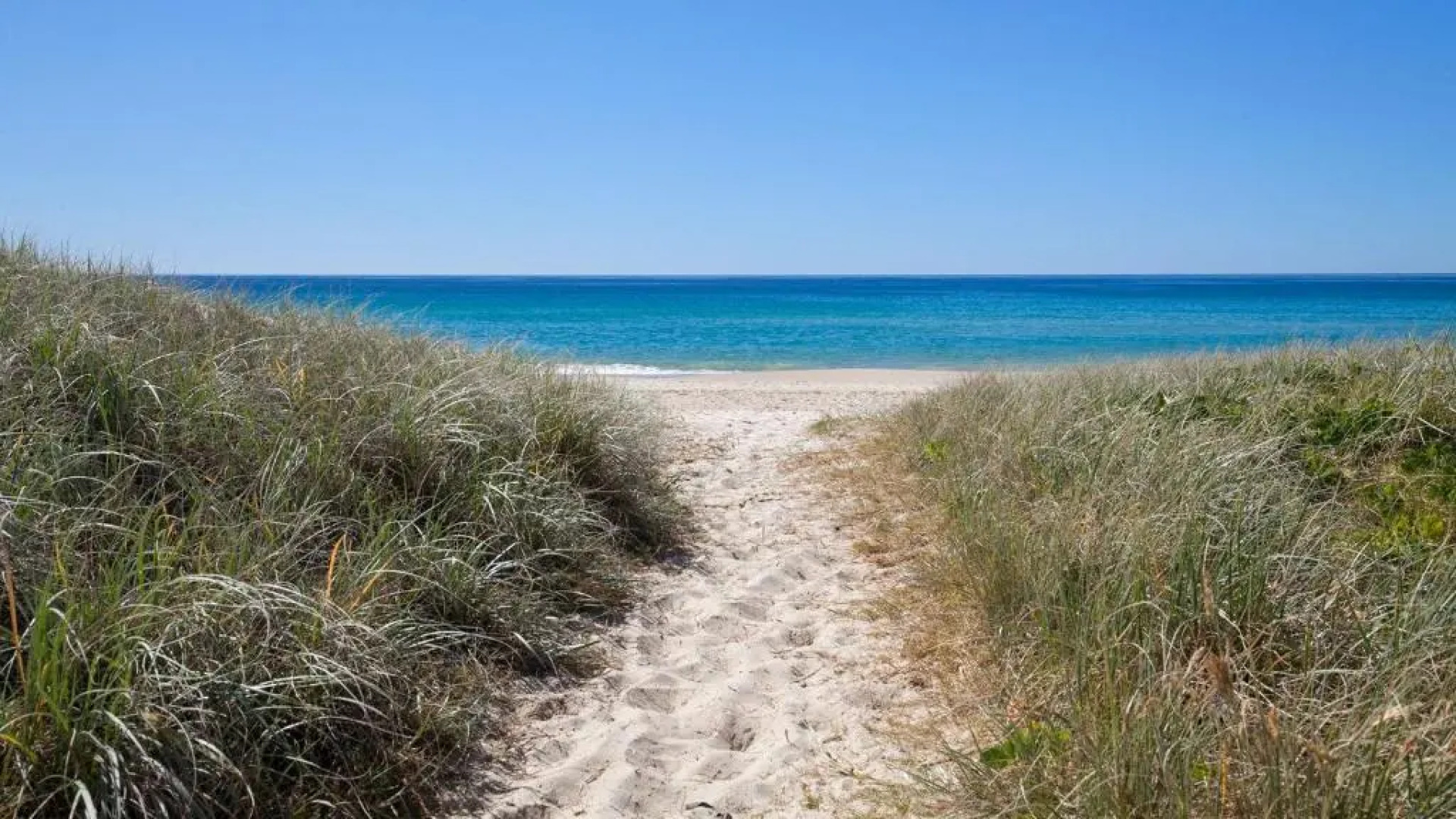 Waterline Beach House