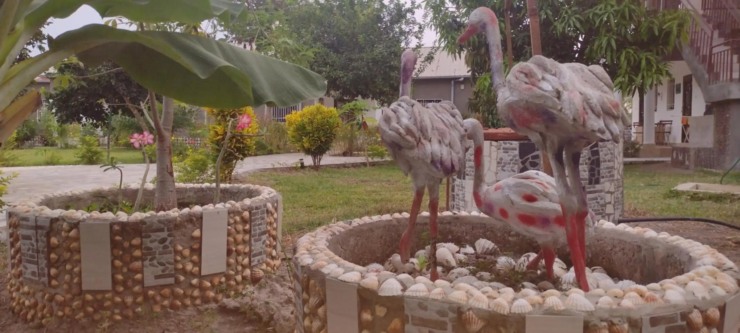 Real Owl Guest House