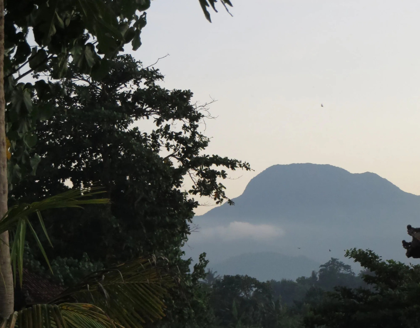 Aashaya Jasri Resort