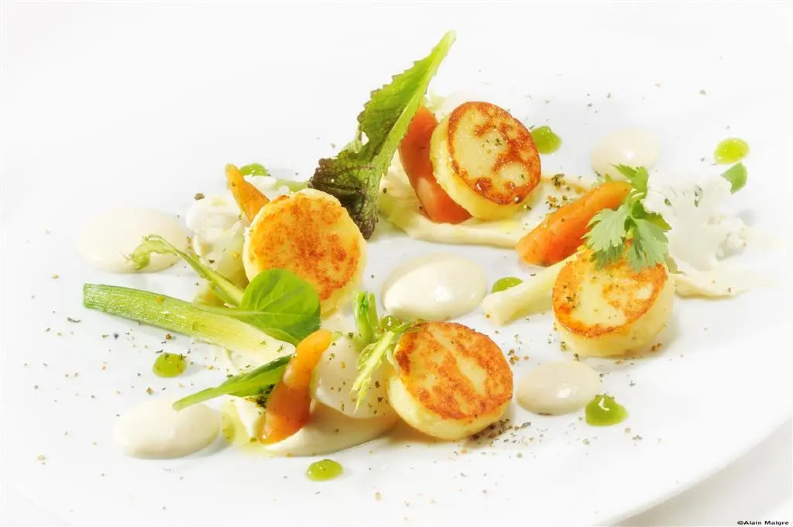 Le Clair de la Plume - Teritoria