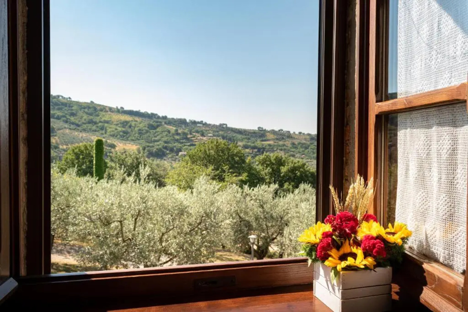 Agriturismo La Rocca Assisi