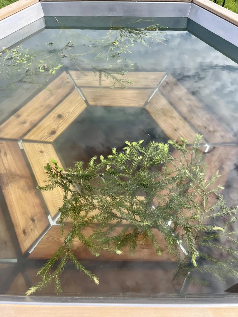 Шишкин Афрейм