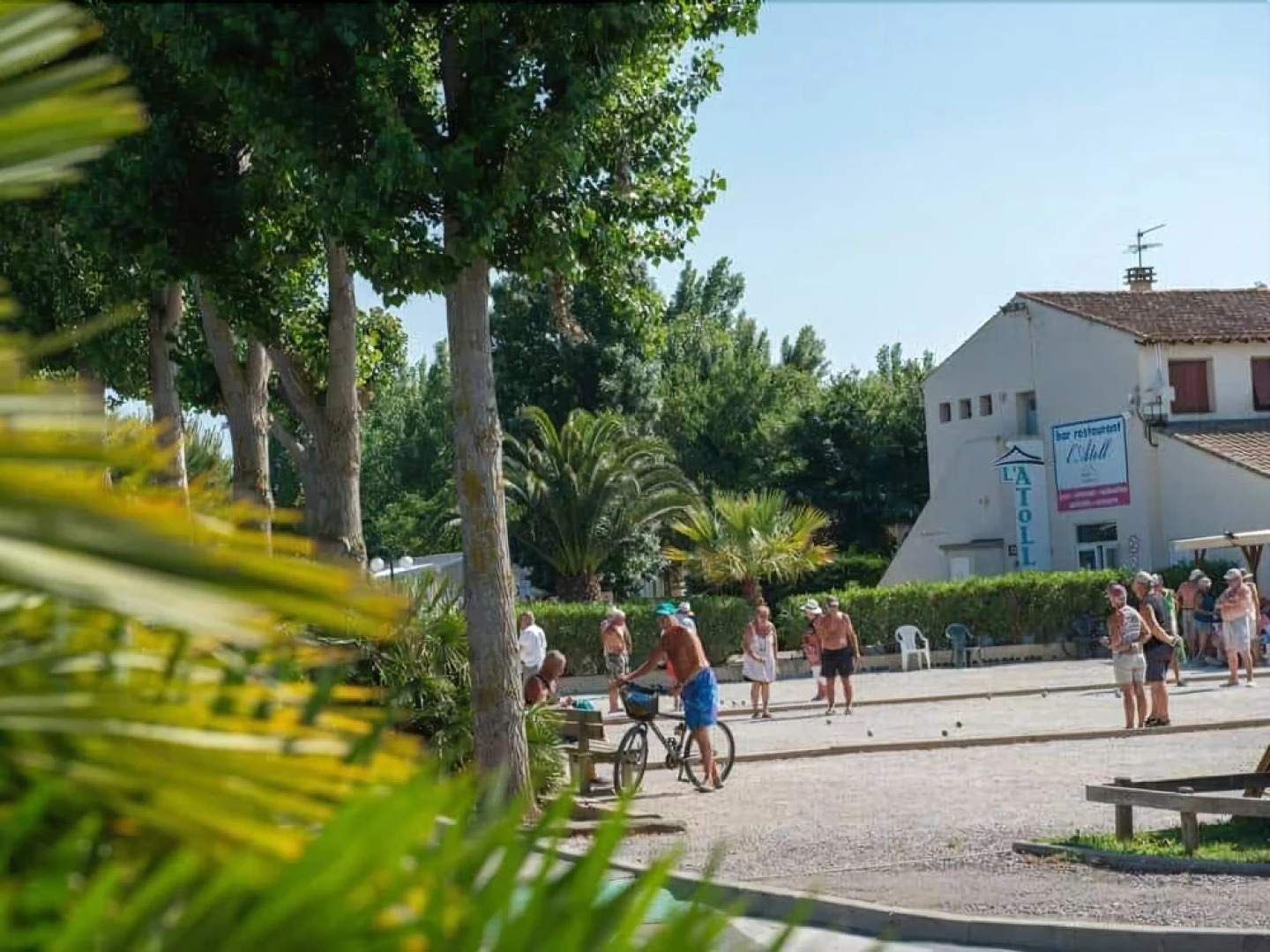 Mobile Home 8p dans le camping La Carabasse (emplacement Oliviers 26)