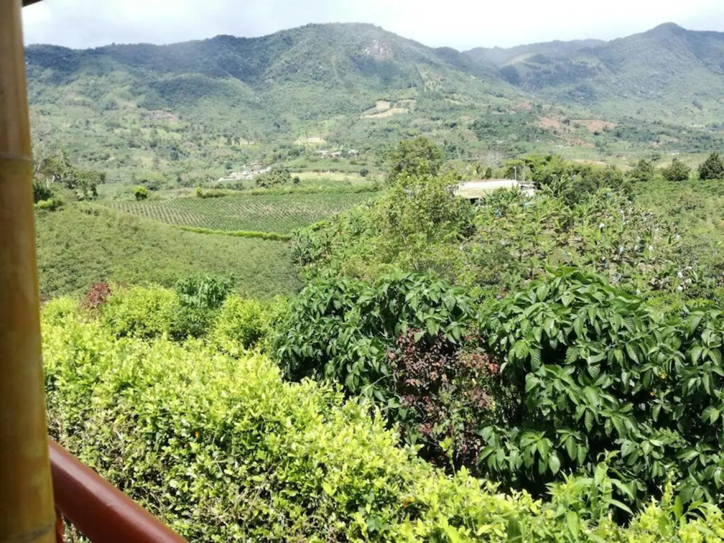 Finca Hotel El Descanso