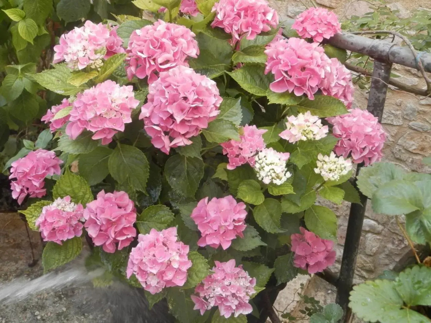 Residenza di Paese Castello del Poggio